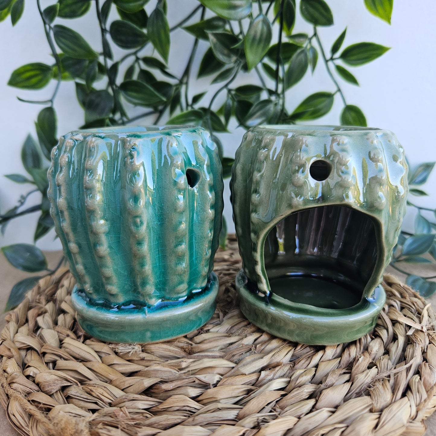 Quemador Cactus Redondo