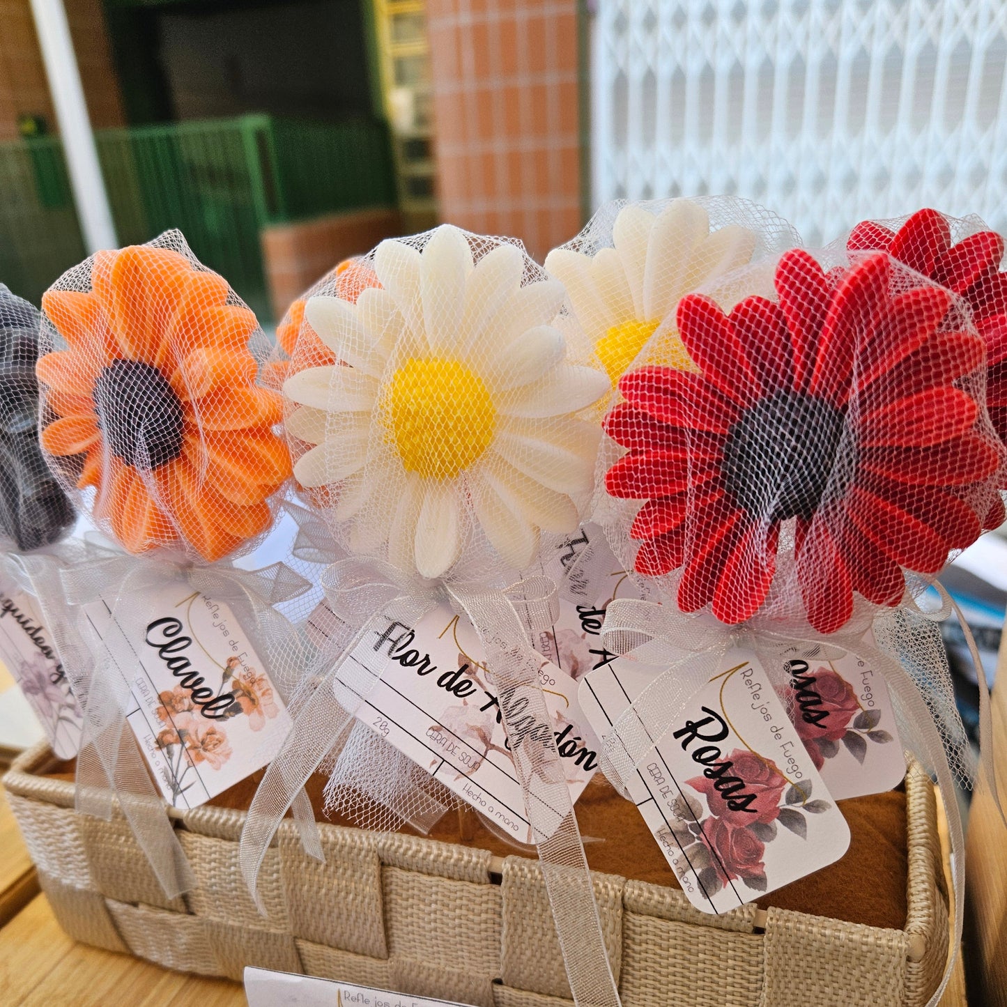 Margarita